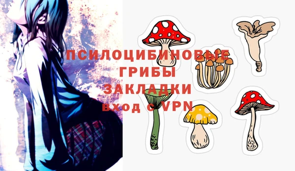 прущая мука Вязники