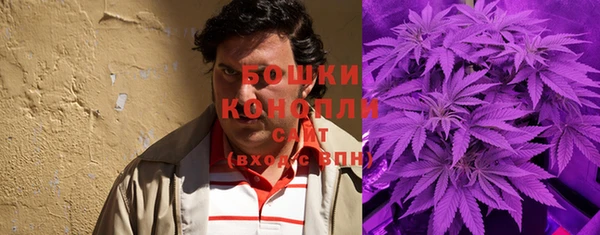 мдпв Вяземский